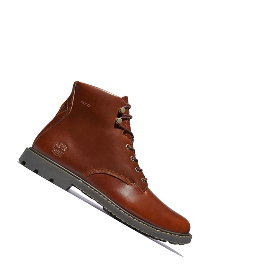 Timberland Belanger EK+ Original 6-inch Boots ανδρικα καφε | GR-EQO3458