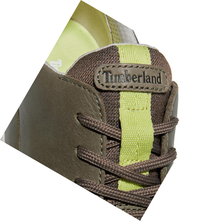 Timberland Bradstreet Ultra Αθλητικά Παπούτσια ανδρικα Greige | GR-JRB5708