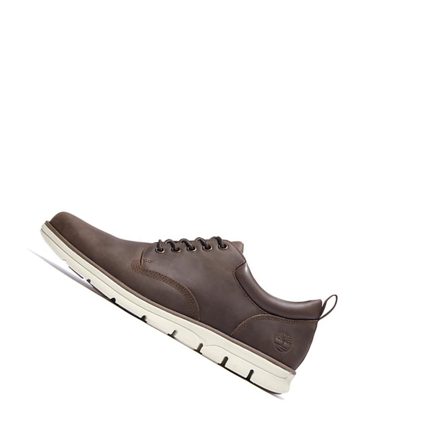 Timberland Bradstreet δερματινα Oxford παπουτσια casual ανδρικα καφε | GR-LXV6157