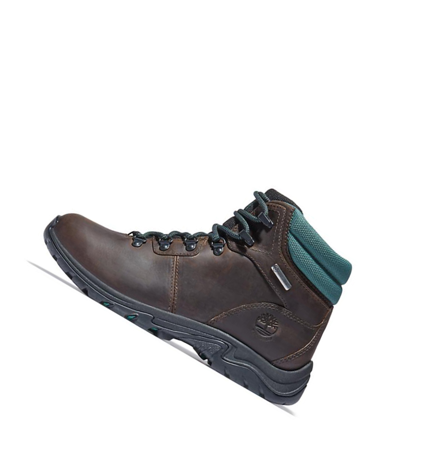 Timberland Mount Maddsen Hiker χειμωνιατικα μποτακια γυναικεια σκούρο καφε | GR-EBH2108