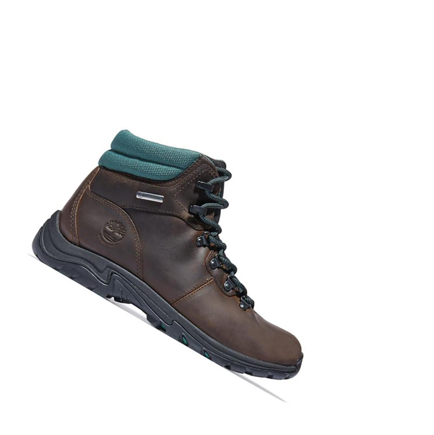 Timberland Mount Maddsen Hiker χειμωνιατικα μποτακια γυναικεια σκούρο καφε | GR-EBH2108