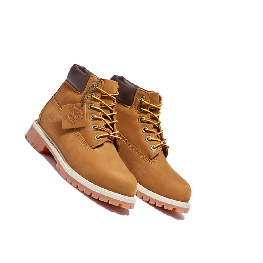 Timberland Premium Original 6-inch Boots παιδικα καφε | GR-GFA4673