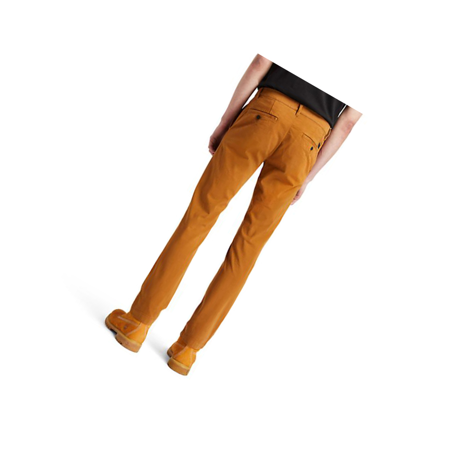 Timberland Sargent Lake Ultrastretch Chinos παντελονι ανδρικα καφε | GR-VJS3596