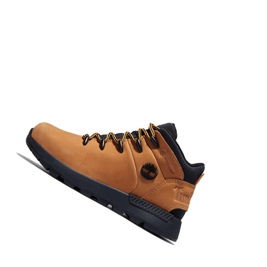 Timberland Sprint Trekker Mid παπουτσια ορειβασιασ παιδικα κίτρινα | GR-GBA5827