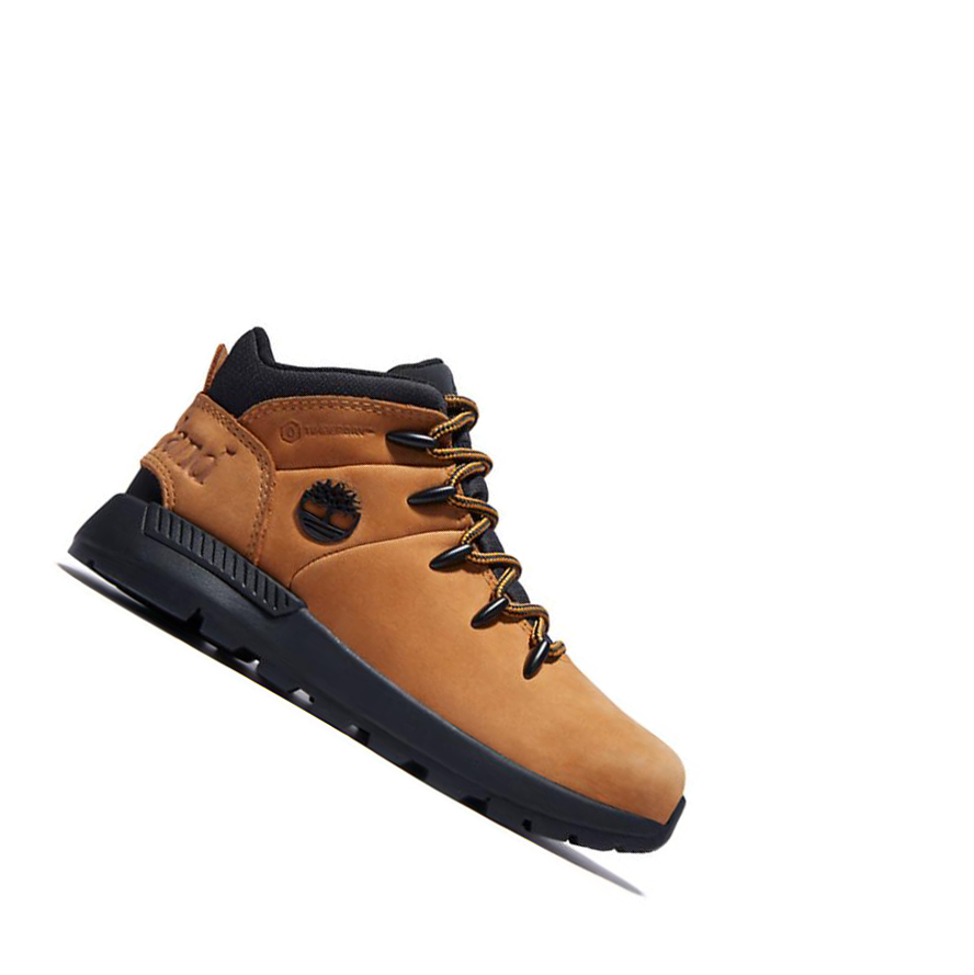 Timberland Sprint Trekker Mid παπουτσια ορειβασιασ παιδικα κίτρινα | GR-GBA5827