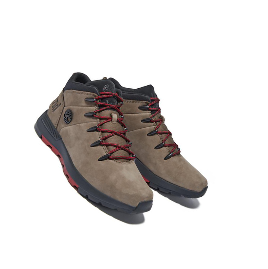 Timberland Sprint Trekker Μπότες Chukka ανδρικα Greige | GR-OJY7931