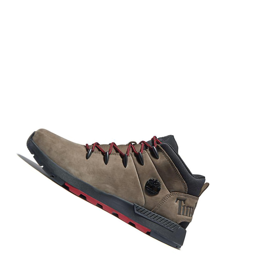 Timberland Sprint Trekker Μπότες Chukka ανδρικα Greige | GR-OJY7931