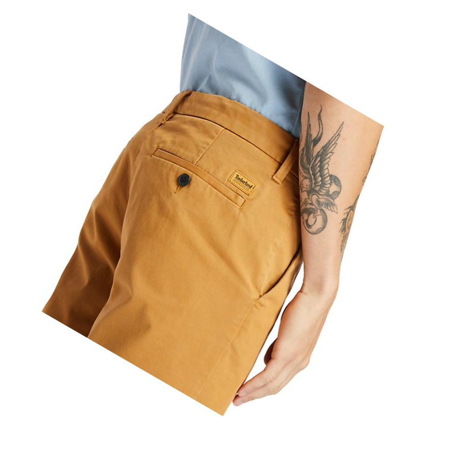 Timberland Squam Lake Stretch Chino σορτσ ανδρικα σκούρο κίτρινα | GR-XZD0698