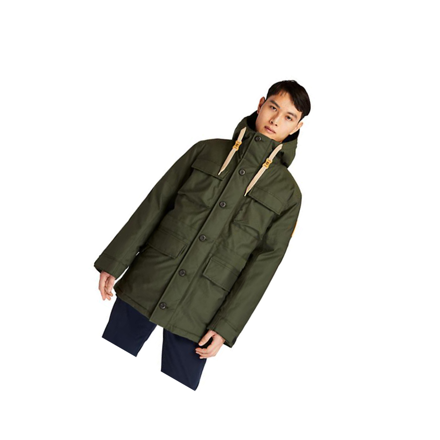 Timberland Wilmington DryVent™ Field Parka μπουφαν ανδρικα σκούρο πρασινο | GR-EUH2865